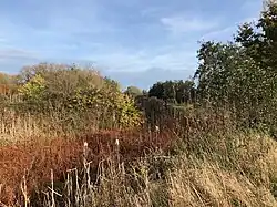 Het park van Eden: wandelpad