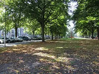 Parklaan, de centrale as van de wijk