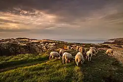 Cabo Sardão tussen Almogarve en Zambujeira do Mar