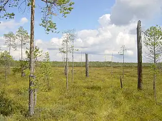 Nationaal park Patvinsuo