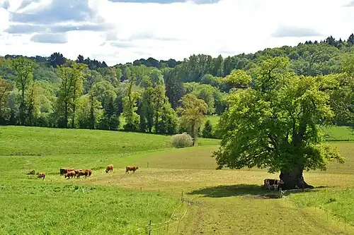 Landschap bij Chamboulive