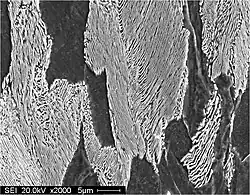 Lamellaire microstructuur met perliet-korrels (lamellair, zwart-wit) met ferriet-korrels (zwart) als de korrelgrenzen van perliet