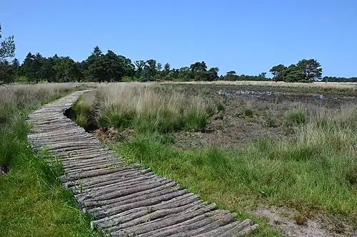 Op de Strabrechtse Heide