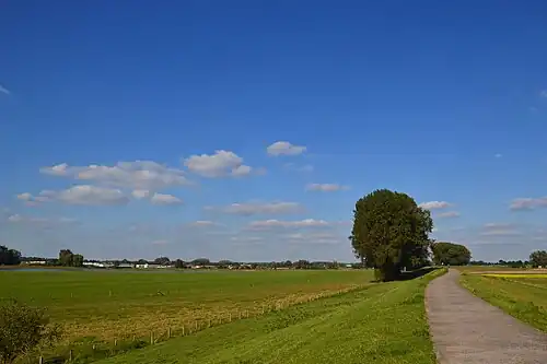 Op de Waaldijk bij Brakel