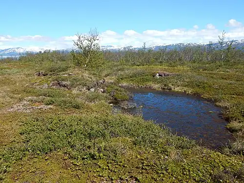 Nabij Abisko, Noord-Zweden