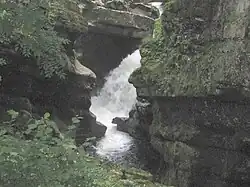 Perte de l'Ain (2005)