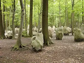 Findlingswald, bosperceel bij Neuenknick waar men vanaf 1976 een groot aantal zwerfstenen uit de wijde omgeving heeft verzameld