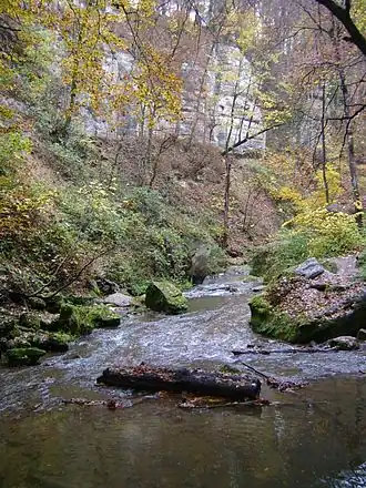 De Zwarte Ernz nabij Mullerthal.