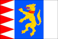 Vlag