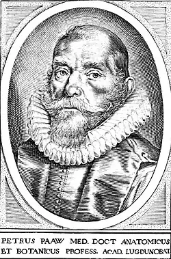 Portret van Pieter Pauw, dat werd gebruikt in zijn werk Succenturiatus Anatomicus, continens Commentaria in Hippocratem de Capitis Vulneribus. Additæ sunt Annotationes in aliquot Capita Libri octavi C. Celsi (1616).