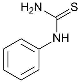 Structuurformule van fenylthiocarbamide