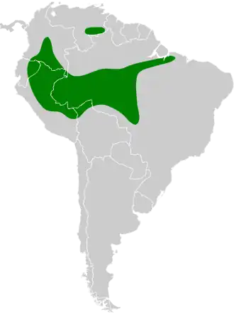 Roodvleugelbladspeurder