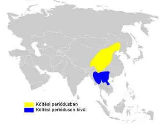 Pater Davids boszanger