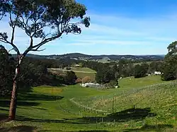 Uitzicht over Piccadilly Valley vanaf de Mount Lofty Scenic Route