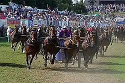 Demonstratie Romeinse strijdwagenrennen
