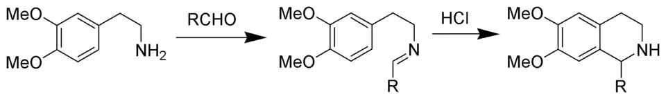 Reactieverloop van de Pictet–Spengler-reactie voor de productie van tetrahydro-isochinoline.