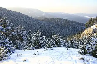 Pilisgebergte bij Nagykovácsi