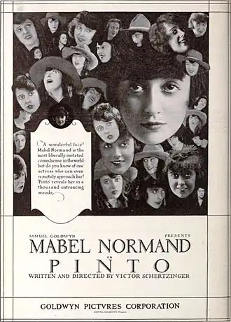 Advertentie voor Pinto