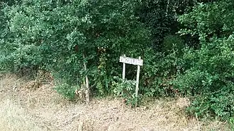 Het natuurgebied Pinzieleke langs de Grote Nete