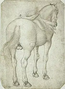 Paard van achteren gezien, inv. 2378, ca. 1433-1438, pen en potlood op papier, 20&nbsp;×&nbsp;16,5