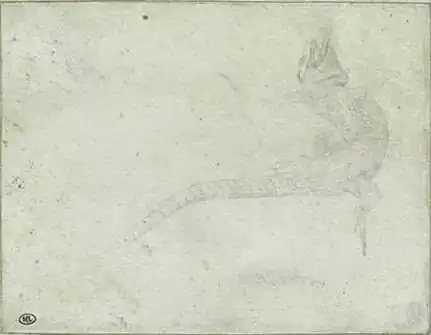 Gespietste hagedis, inv. 2382