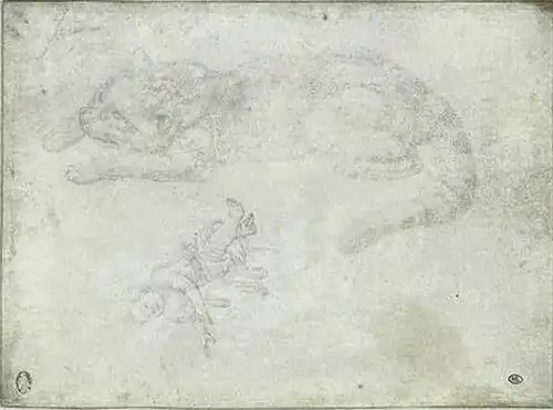 Liggende kat, kind, inv. 2420, zilverstift op perkament, 17,2&nbsp;×&nbsp;23,1