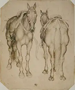 Twee paarden, inv. 2468, ca. 1433-1438, pen en potlood op papier, 20&nbsp;×&nbsp;16,5