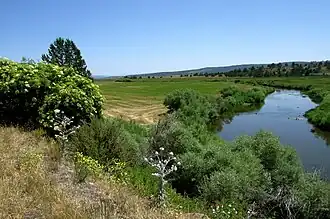 De Pit-rivier bij Alturas