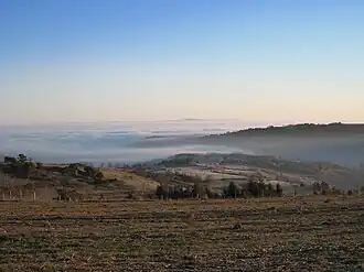 Les Amours d'Astrée et de Céladon