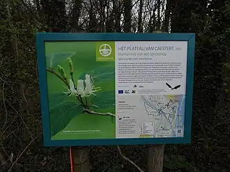 Plateau van Caestert