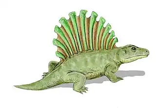 Platyhystrix