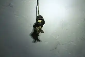 Plecotus kolombatovici