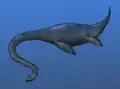 Plesiosaurus