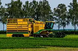 Spinazieoogstmachine