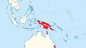 Gemarmerde uilnachtzwaluw