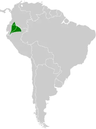 Goudvleugelschoffelsnavel