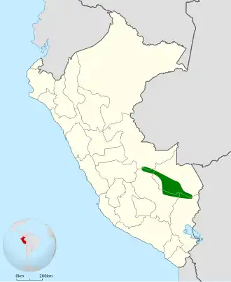 Zwartrugschoffelsnavel