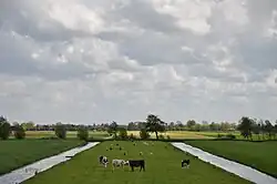 Polderlandschap even buiten de kern