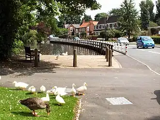 Vijver in Walkington