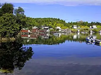 Zicht op Pool's Cove