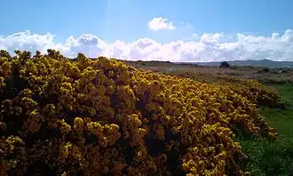 Portmarnock Golf Club
