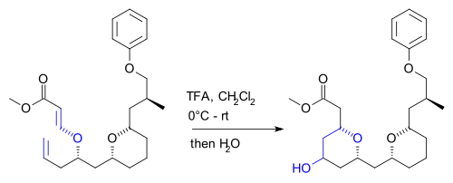Prins-reactie Kwon 2008