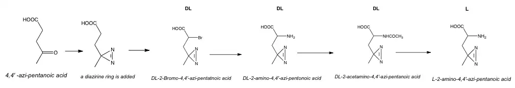 Syntheseroute van L-foto-leucine