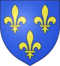 Wapen vanÎle-de-France