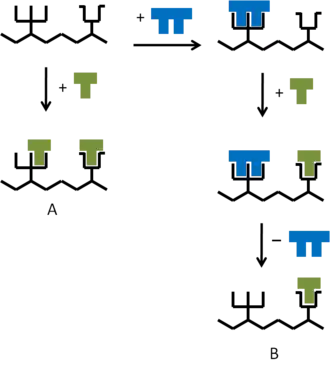 Principe van de functionele groep