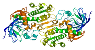 Kristallografische structuur van ADH5