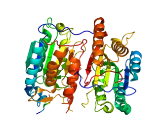 Ruimtelijke structuur van FLIP
