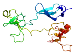 Eiwitstructuur van fibronectine 1.