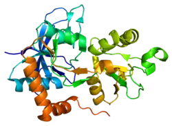 Lintdiagram van GRIN2A