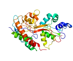 Lintdiagram van GRIN2B